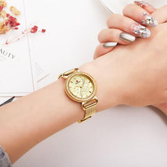 Casual Women Watch Waterproof Light Luxury Stainless Steel Strap Quartz Watch