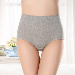 Women's Basic Comfort Pure Color Brief Micro-elastic High Waist