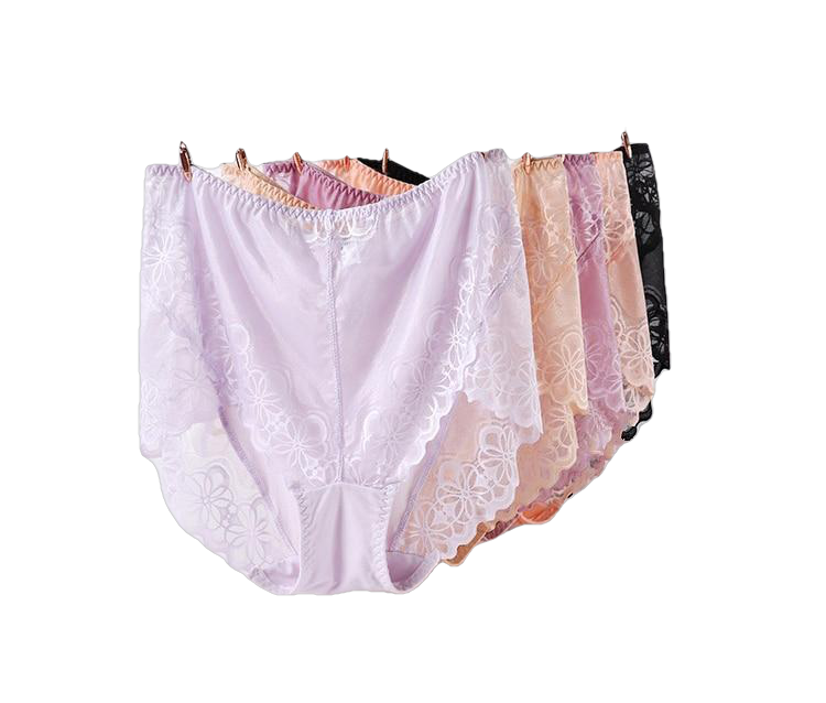 Large Size High Waist Panties For Women Underwear Ladies Big Size Briefs Plus Size Transparent Sexy Lace Panties Female 5Xl 6Xl - Sheseelady