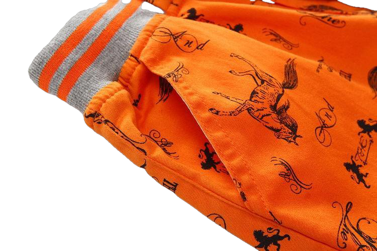 Cartoon Printed Horse Summer Shorts For Unisex Kids - Sheseelady